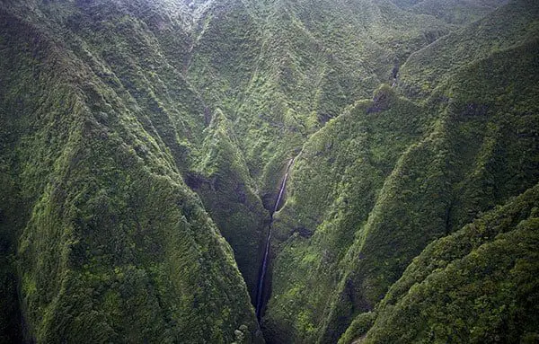 Discovering diversity in the Hawaiian Islands 26 d44