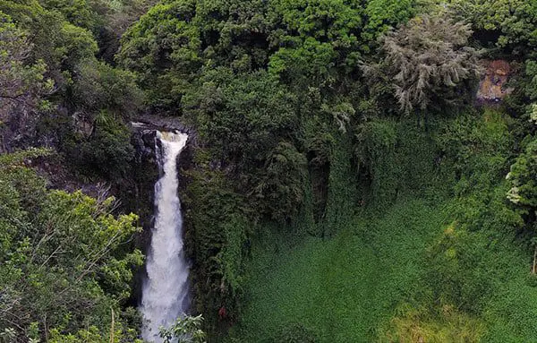 Discovering diversity in the Hawaiian Islands 23 d556