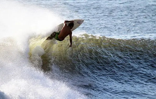 Discovering diversity in the Hawaiian Islands 25 s66