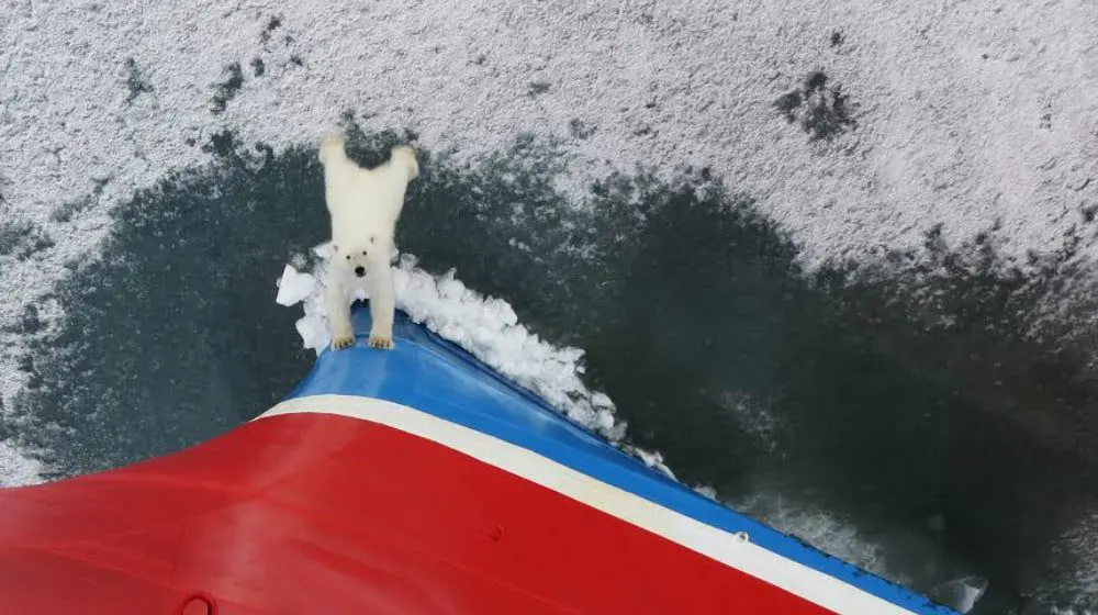 The Daily Travel Agent Bite: Mon 6 Mar 38 08. G Adventures