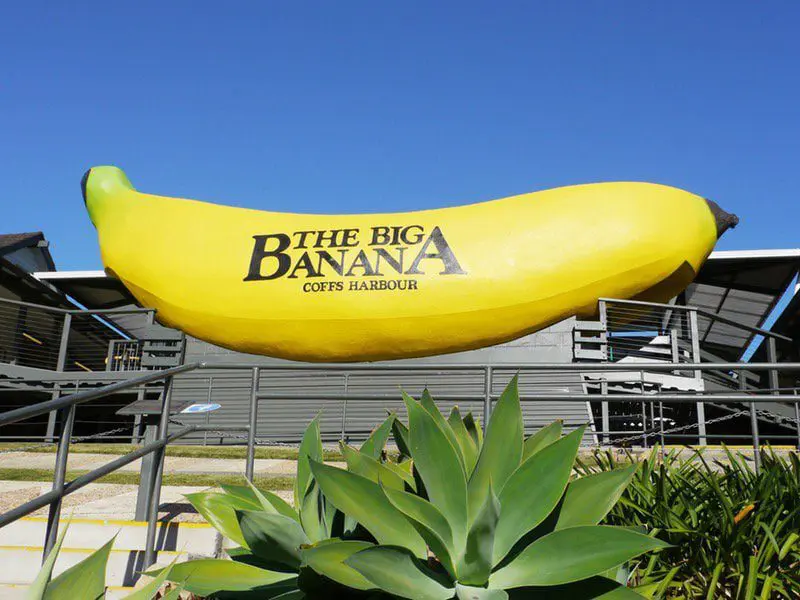 Australia's "Big Things" are going green for St.Patricks 4 Big Banana-karryon