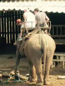 Worst Kind of Tourist - Thailand