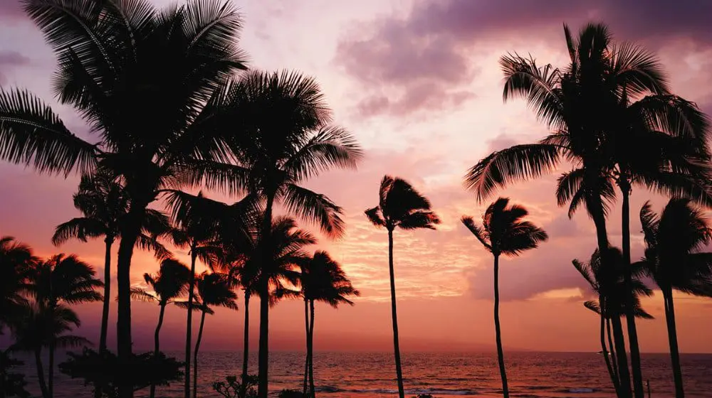 The Daily Travel Agent Bite: Fri 10 Mar 35 Hawaii feature