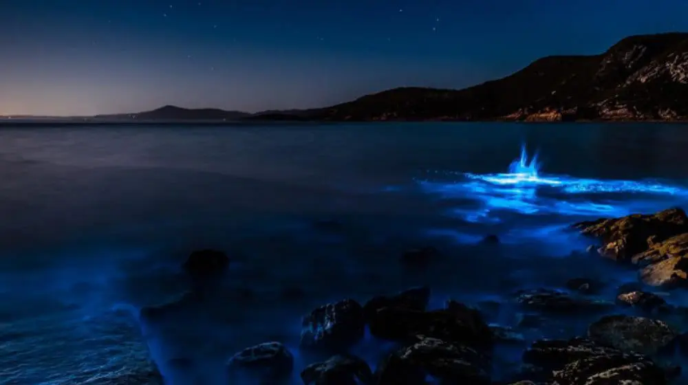 Tasmania has just been pushed to the top of the bucketlist & it's all thanks to this one picture