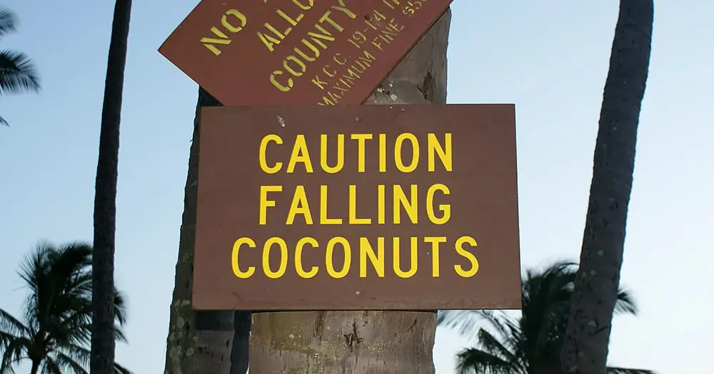 Can you beat any of these wacky travel insurance claims?