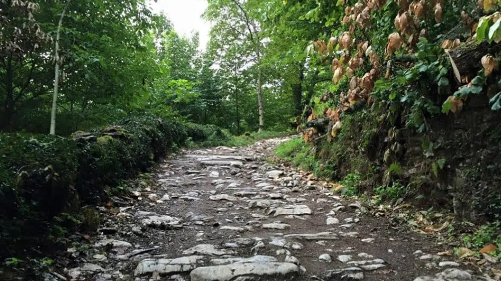 The writings of Camino de Santiago