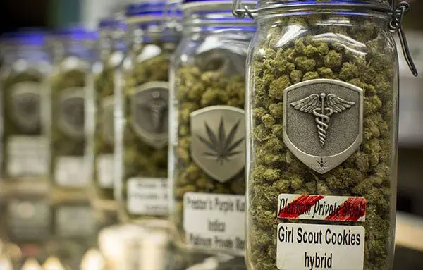 So high: Is Marijuana tourism really taking off around the world? 1 high2