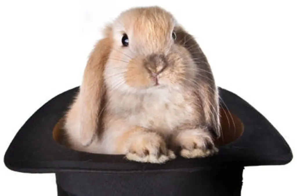 The trick to luring more travellers Down Under is...