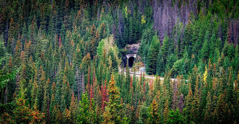 Top 5 photo opportunities along Rocky Mountaineer's First Passage to the West