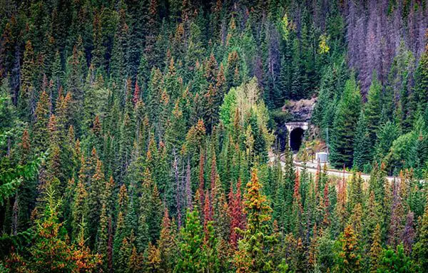 Top 5 photo opportunities along Rocky Mountaineer's First Passage to the West 22 tun2