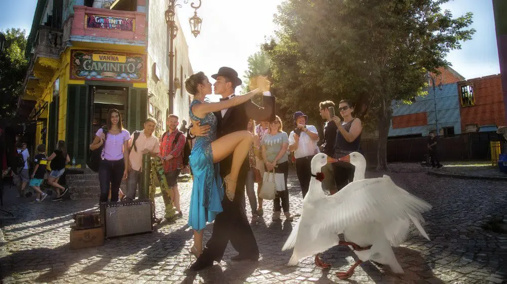 Air New Zealand lets a goose run loose in Buenos Aires