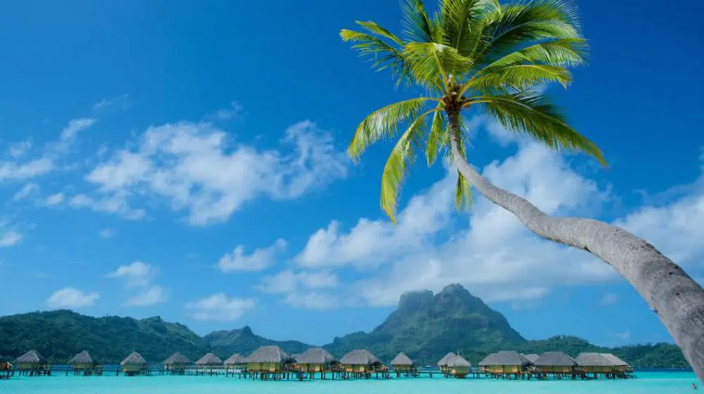 The Daily Travel Agent Bite: Wed 12 Apr 34 Air Tahiti feature