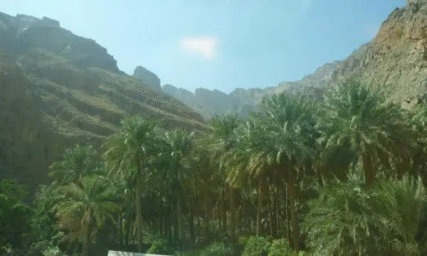 Tina the Travel Agent recounts life-changing experience in Oman 24 Oman nature