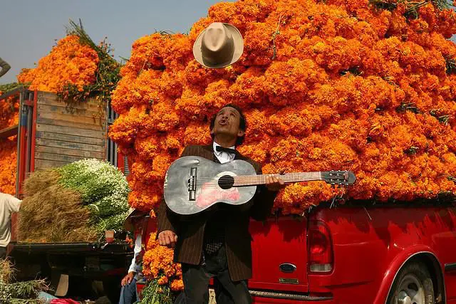 Get ready Amigos! Cinco De Mayo is a happening in Australia