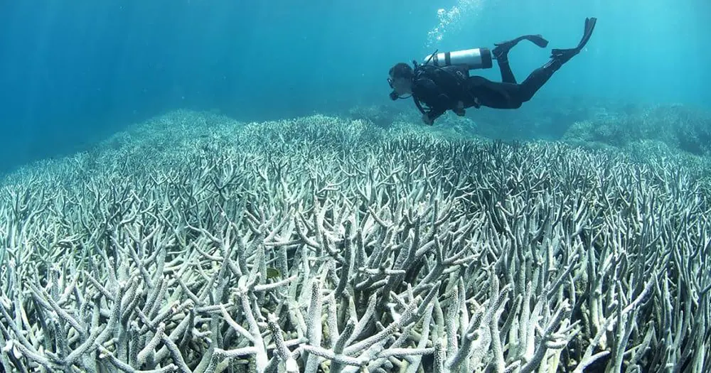 Australia facing Great Barrier Reef tourism challenge