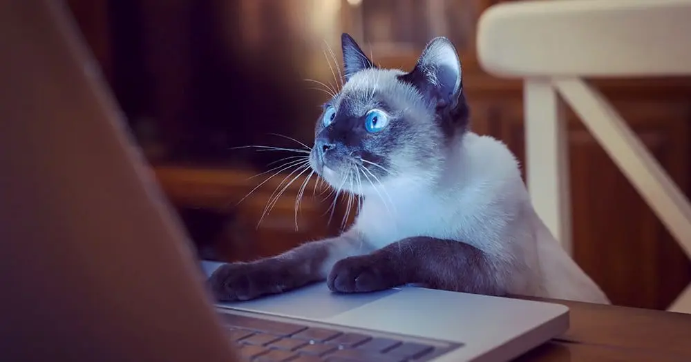 How to book flights when you have NO idea how to book flights