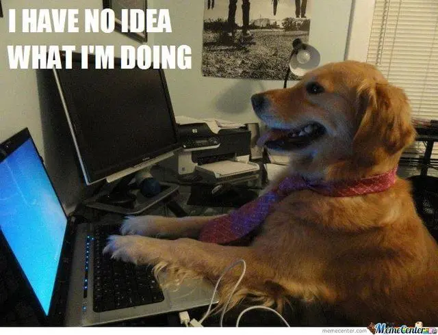 How to book flights when you have NO idea how to book flights 17 meme_dog