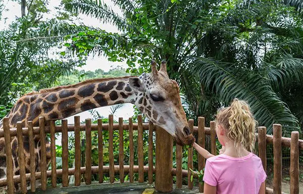 Singapore Tourism launch the 'Emotional Travel Guide' for everyone 24 s3