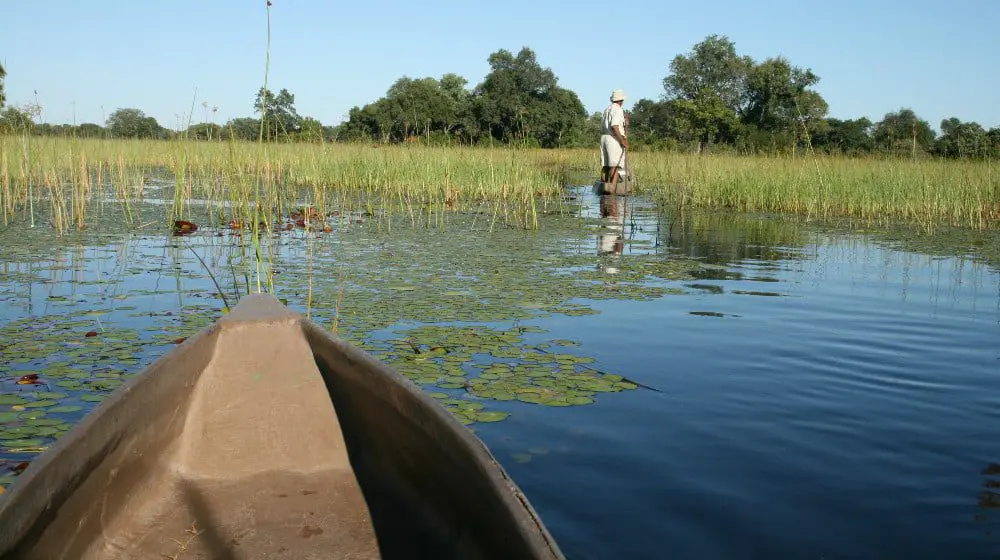 An expert's advice on packaging an African experience for your client