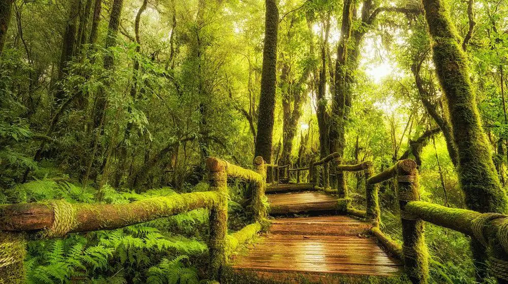 Excite Holidays' 'California Dreaming' travels into San Fran & the North Coast