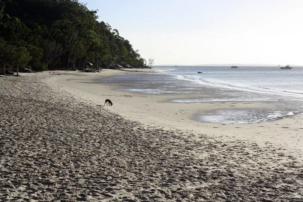 How this hotel is putting the 