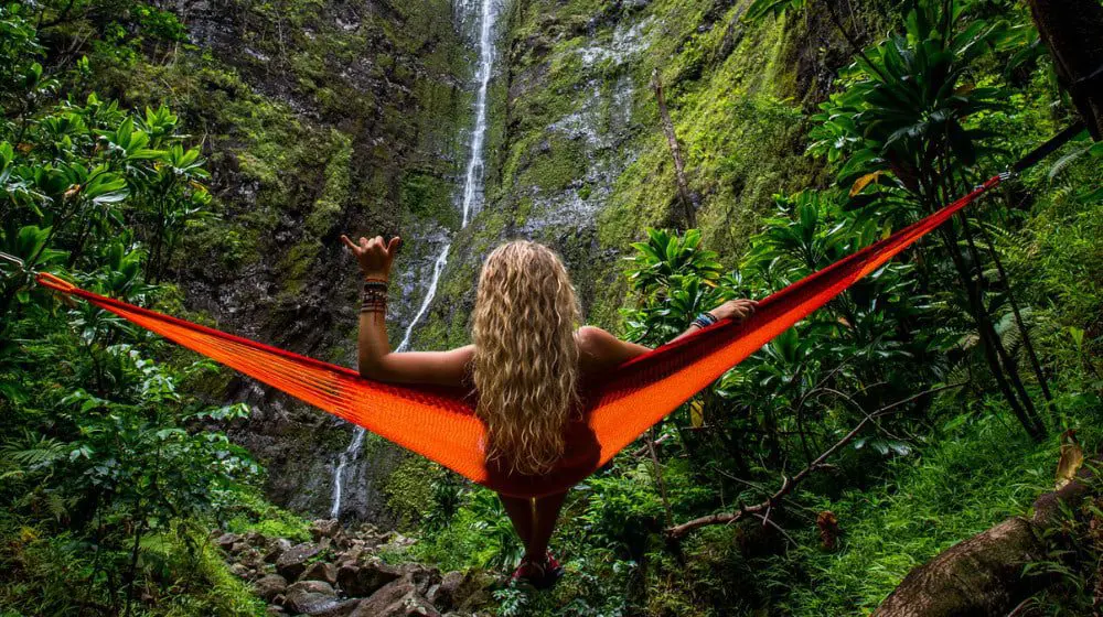Hawaii feature
