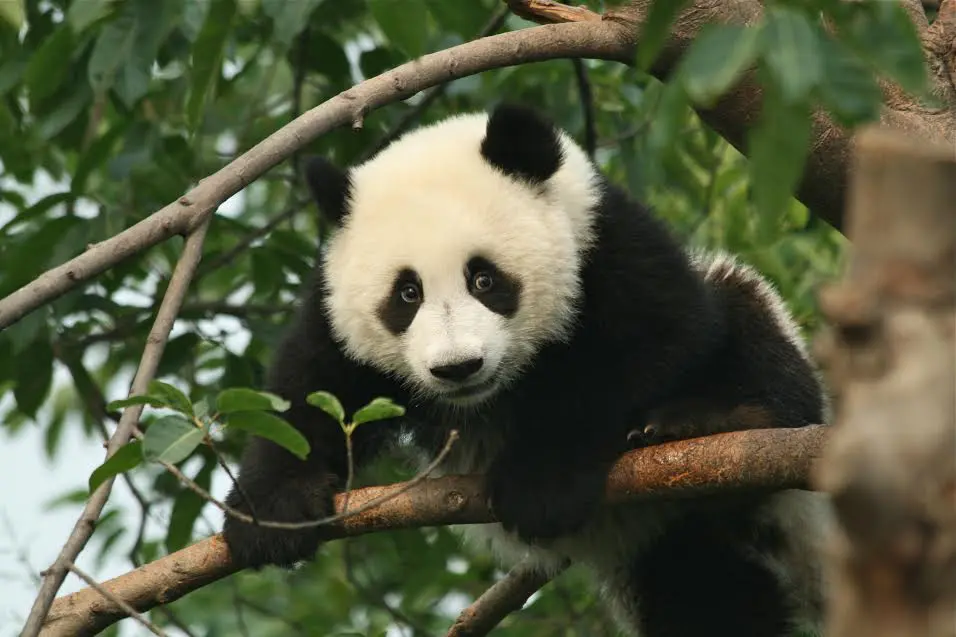 The Weekly Travel Agent Bite: 10 May 41 Insider Journeys