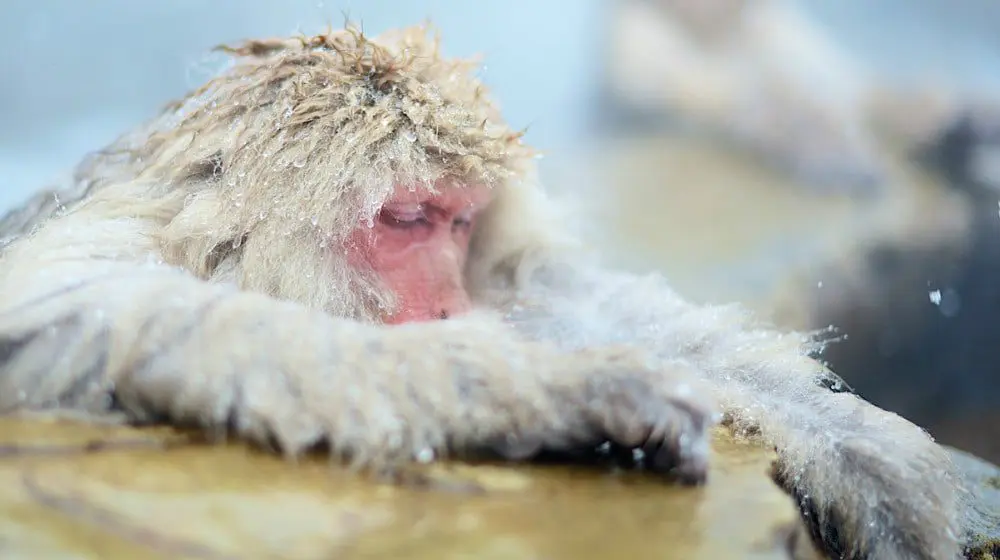 Stop saying Japan is expensive! It's actually quite competitive