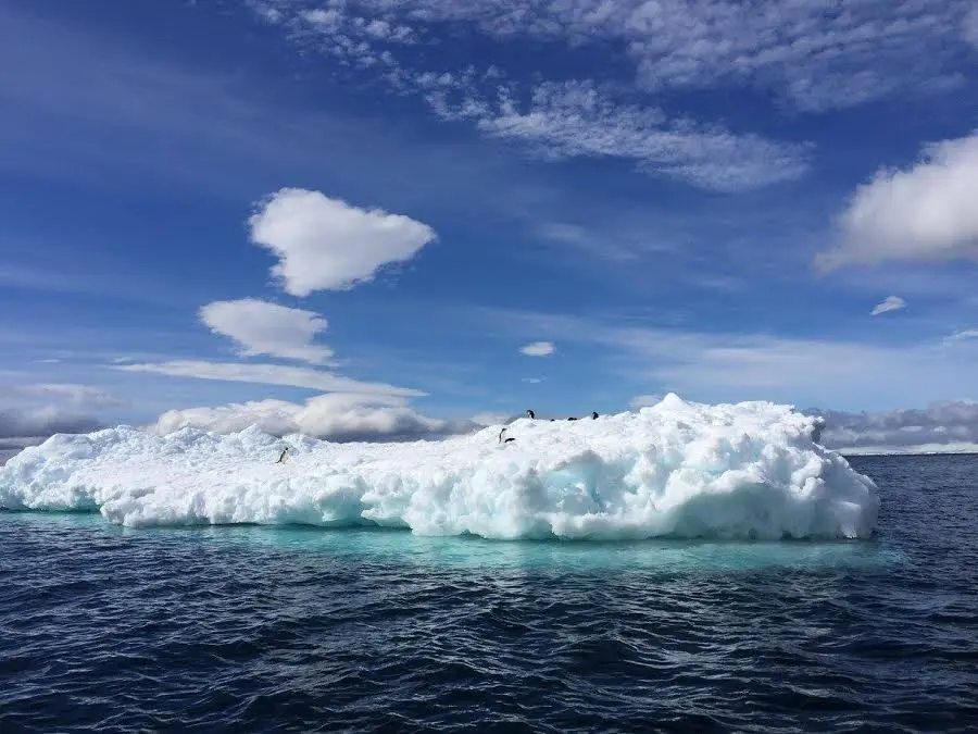 Why you need to prepare to be connected to Antarctica 12 Karsten Horne 1