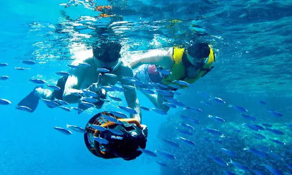 One really wrong assumption everyone always makes about Mexico's Los Cabos 15 Los Cabos 3