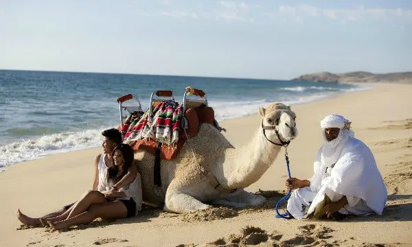 One really wrong assumption everyone always makes about Mexico's Los Cabos 14 Los Cabos 5