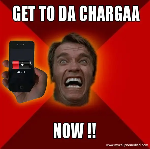 Enduring long-haul flights: 9 tips from frequent flyers 15 arnold-phone-charger-meme