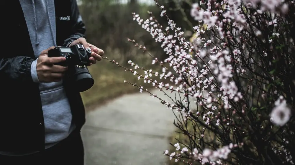 Lessons from Kodak – Grabbing your opportunities
