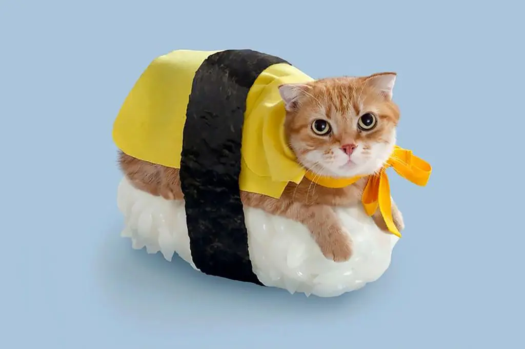 Two airlines confirm new int'l flights for Melbourne - one is flying to Japan