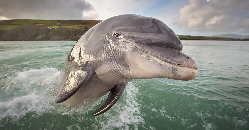 The 10 Most Instagrammed Places in Ireland