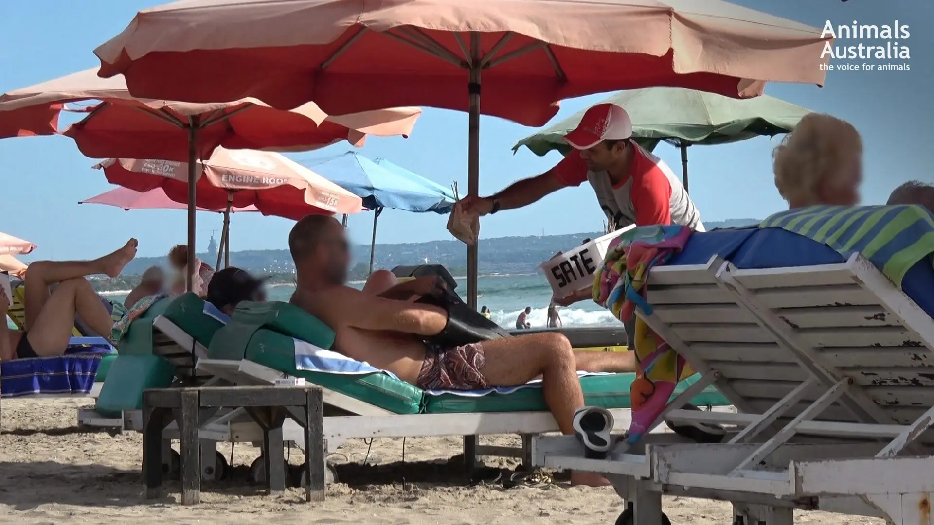 Australian tourists have unknowingly consumed dog meat in Bali 2 Mobile dog meat vendor approaching tourists on a beach. Image: Animals Australia