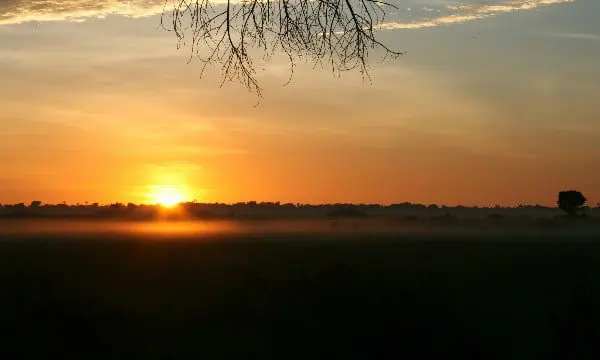 What's it like spending a night in a Botswana camp? 15 Jan 3