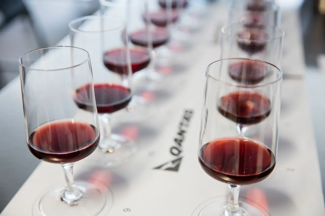 Qantas Frequent Flyers lend their palates to the wine experts 12 Qantas 4