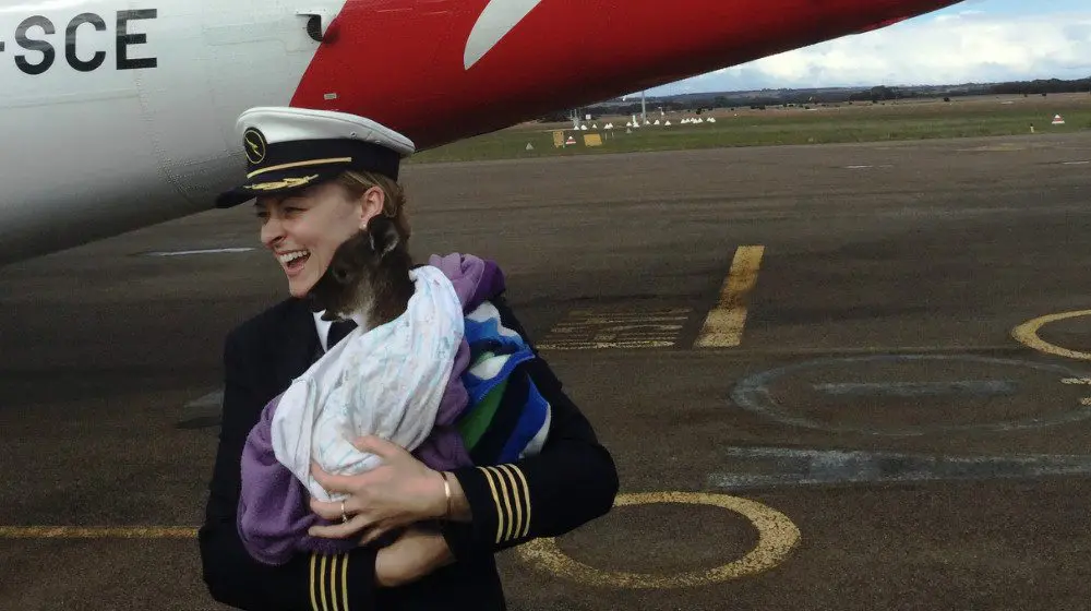 QantasLink hops on over to Kangaroo Island