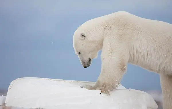 10 ways Canada will surprise you 38 c5