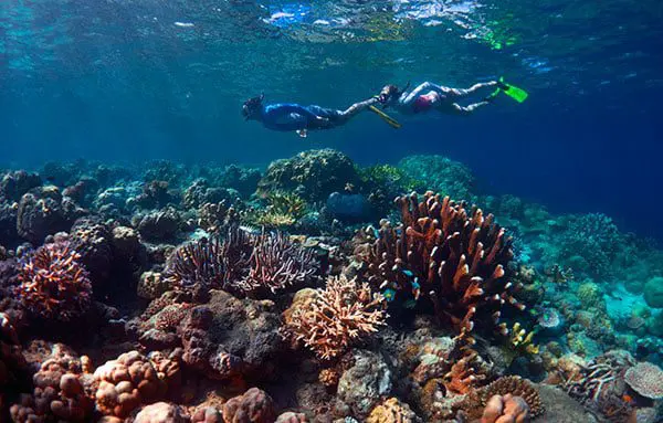 The Solomon Islands – celebrating 75 years of South Pacific freedom 16 solo3