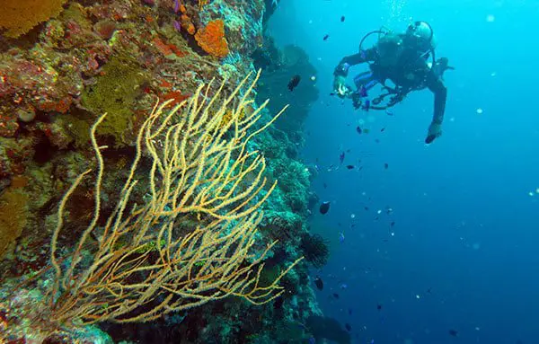 The Solomon Islands – celebrating 75 years of South Pacific freedom 17 solo8