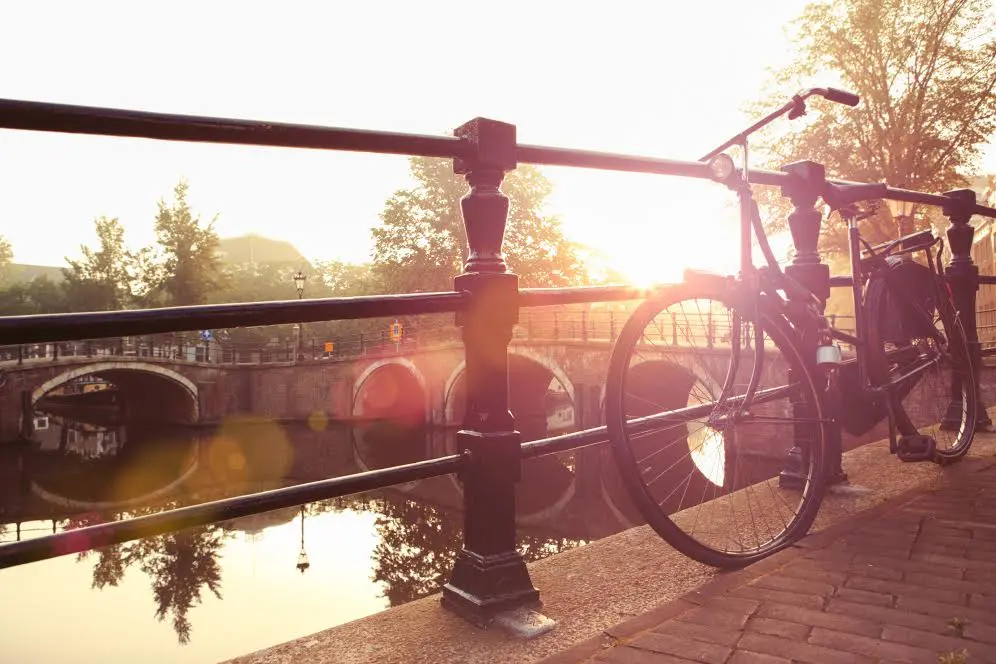 Weekly Travel Agent Bite: 5 July