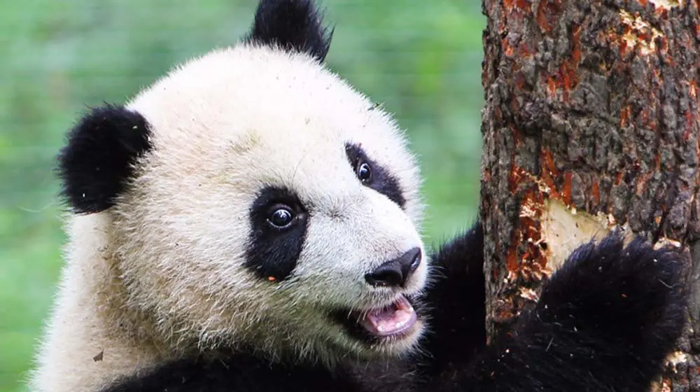 WENDY WU TOURS GETS A WU-NDERFUL MAKEOVER, CHECK IT OUT