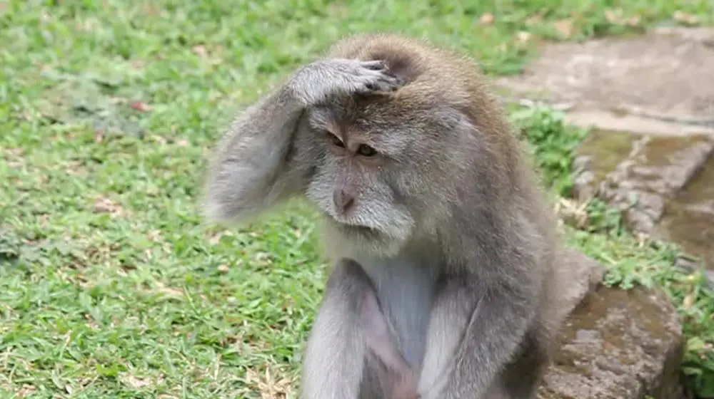 YOU'RE NEXT HOLIDAY WILL BE TO... LET THE EMOTIVE TEST DECIDE FOR YOU