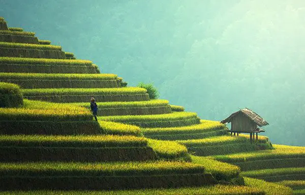 AGENTS: GET UP EARLY – THIS WU-RM IS WU-RTH CATCHING! 23 ww12345