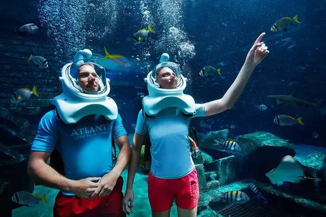 DUBAI'S ATLANTIS, THE PALM LETS GUESTS GO ON AN AQUATREK AT NIGHT 5 Atlantis, The Palm