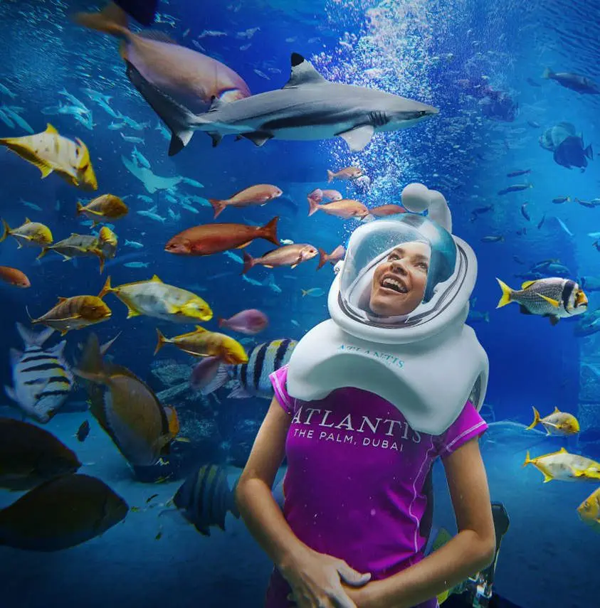 DUBAI'S ATLANTIS, THE PALM LETS GUESTS GO ON AN AQUATREK AT NIGHT 6 Atlantis, The Palm