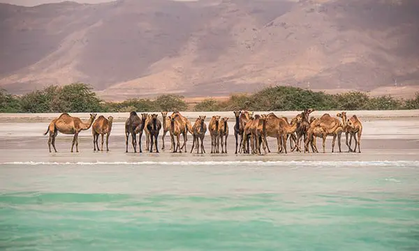 WIN A 7-NIGHT TRIP TO OMAN, THE BEST KEPT SECRET OF ARABIA 12 Oman Tourism 3