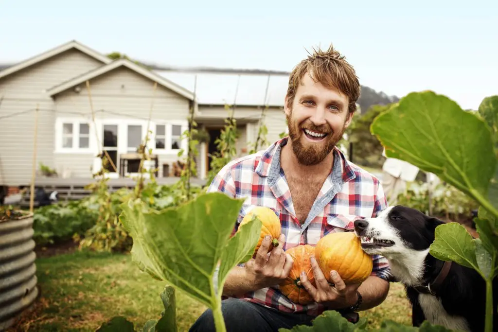 COUNTDOWN TO THE SAMPLE FOOD FESTIVAL IN BANGALOW IS ON!